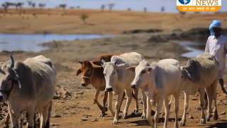 Watch Dpk News Diwali Add govt & private Video