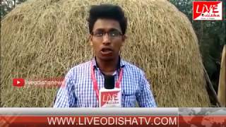 Watch Khalikote Farmer Strike Video