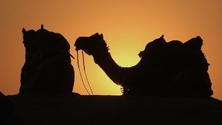 Watch Bridging Worlds: One Thousand and One Nights - Indian dreams under Arabian skies Video