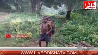 Watch Special Report : Baliguda Road Problem Video