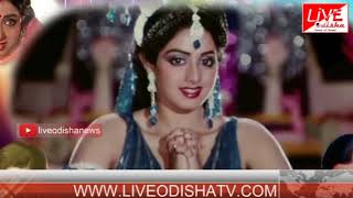 Watch Special Story : Legendary Bollywood actor Sridevi passes away in Dubai Video