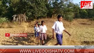 Watch Special Report : Kandhamal Matiapalli School Problem Video