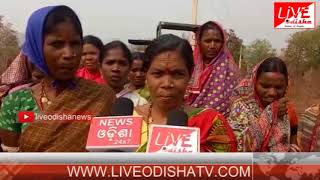 Watch Special Report : Koksara Ghantiguda-khaligada Road Scam Video