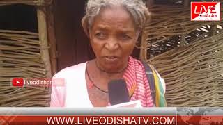 Watch Special Report : Sinapalli Dambarudhara Majhi indira awas yojona fail Video