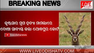 Watch Breaking News : Salman Khan Found Guilty In Blackbuck Poaching Case Video