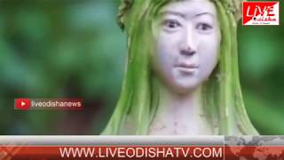 Watch Special Story : à¬—à¬›à¬°à­‡ à¬«à¬³à­à¬›à¬¿ à¬®à¬¹à¬¿à¬³à¬¾à¬‚à¬• à¬†à¬•à­ƒà¬¤à¬¿à¬° à¬«à¬³ Video