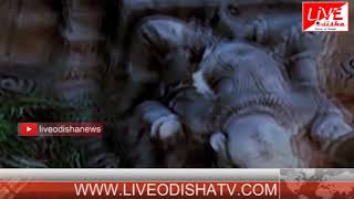 Watch Special Story : à¬°à¬¾à¬œà¬¸à­à¬¥à¬¾à¬¨à¬° à¬­à­‚à¬¤à¬¿à¬† à¬¹à¬¬à­‡à¬²à­€ à¬¨à¬¾ à¬®à¬¨à­à¬¦à¬¿à¬° Video