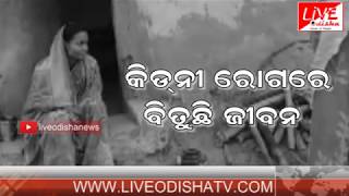 Watch Special Report : Baliguda Rebati Behera kidney fail Video