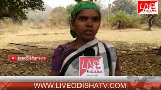 Watch Special Report : Kandhamal Gudmaha firing issue.... Video