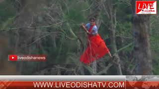 Watch Special Report : Paradeep Jhaun Forest Video