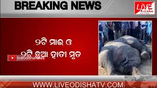 Watch Breaking News : 4 Elephants Dead In Kirimira Block Video