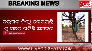 Watch Breaking News : Bargarh  Premijugal Mruta Video