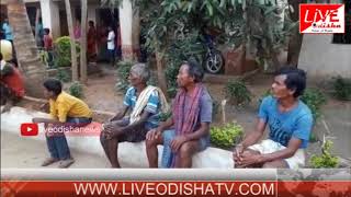 Watch Special Report : Nabarangpur School Problem Video
