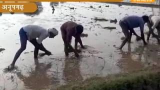 Watch Khabr Rajasthan news 14 07 2017 mpeg2video Video