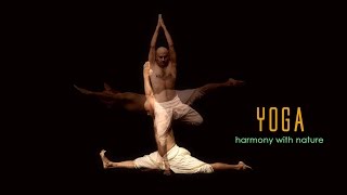 Watch Yoga: Harmony with Nature - Hindi Video