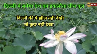 Watch #Yamuna Biodiversity Park  Lake Jagtpur Delhi  Wajirabad #YBP Delhi Video