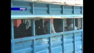 Watch cg24news 9-7-2013 Video