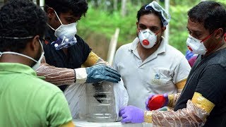 Watch Nipah Virus: Hereâ€™s everything you wanted to know | Economic Times Video