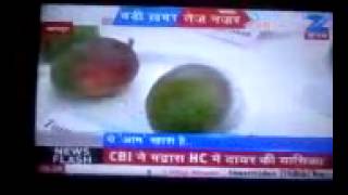 Watch National Media Club Mango Festival Kanpur ! Video
