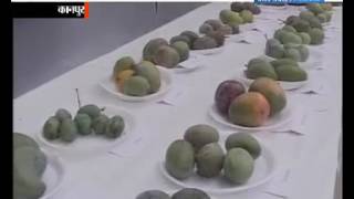 Watch National Media Club Mango Festival Kanpur Video