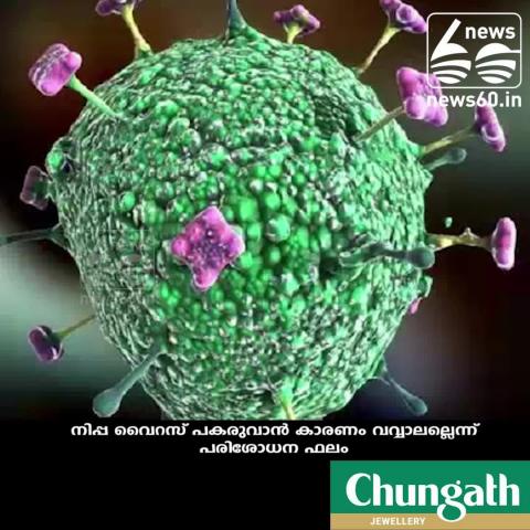 Watch bat is not the reason for nipah virus Video