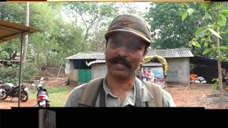 Watch Illegal slaughterhouse raided; 400kg meat seized at Bicholim Video