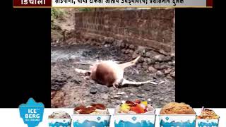 Watch Feni Distillary In Sarvan Karapur Bicholim Is Become A Health Hazard For Locals Video