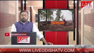 Watch Special report :  à¬œà¬‚à¬—à¬² à¬²à­à¬Ÿà­, à¬¬à¬¨à¬¬à¬¿à¬­à¬¾à¬— à¬šà­à¬ªà­ Video