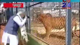 Watch PM Narendra Modi Tiger Pic Clicking - Jangal Safari Raipur CG Video