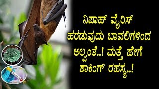 Watch Big breaking news about Nipah Virus | Kannada News | Top Kannada TV Video
