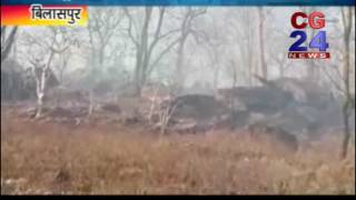 Watch Fire In Pendra Forest Video
