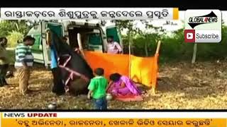 Watch 108 Ambulance not supported interior Kandhamal Area | Odisha Khabar Video