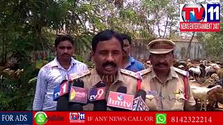 Watch POLICE ARREST SUBSIDY SHEEP ILLEAGAL TRANSPORT GANG MUNAGALA , SURYAPET DIST | Tv11 News | 31-05-18 Video