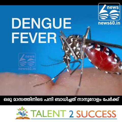 Watch Dengue fever cases swell in Kerala Video