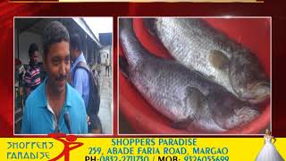 Watch Goa Comments On Fishing Ban Of 61 Days Video