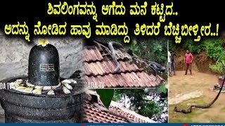 Watch à²¶à²¿à²µà²²à²¿à²‚à²—à²µà²¨à³à²¨à³ à²…à²—à³‡à²¦à³ à²®à²¨à³†à²¯à²¨à³à²¨à³ à²•à²Ÿà³à²Ÿà²¿à²¦ à²…à²¦à²¨à³à²¨à³ à²¨à³‹à²¡à²¿à²¦ à²¹à²¾à²µà³ à²®à²¾à²¡à²¿à²¦à³à²¦à³‡ à²¬à³‡à²°à³† | Snake And Lord Shiva Video
