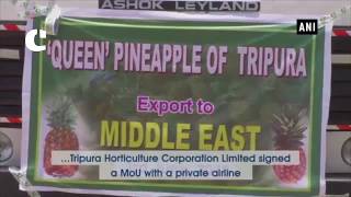 Watch Tripura flags off first pineapple consignment to Dubai Video