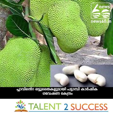 Watch à´’à´Ÿàµà´Ÿàµà´¤àµˆà´•à´³àµà´®à´¾à´¯à´¿ à´ªà´Ÿàµà´Ÿà´¾à´®àµà´ªà´¿! Video