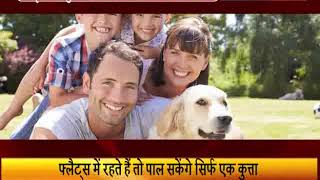 Watch à¤•à¥à¤¤à¥à¤¤à¤¾ à¤ªà¤¾à¤²à¤¨à¥‡ à¤•à¥‡ à¤²à¤¿à¤ à¤²à¥‡à¤¨à¤¾ à¤¹à¥‹à¤—à¤¾ à¤²à¤¾à¤‡à¤¸à¥‡à¤‚à¤¸ Video