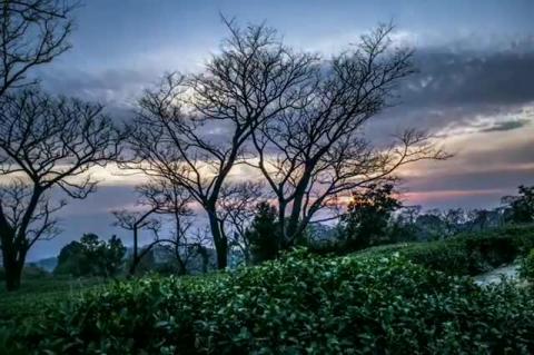 Watch Dharamshala Timelapse - Amadnomad Video