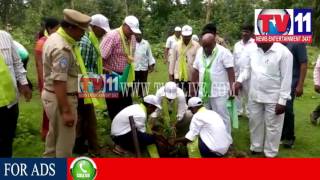 Watch FOREST MINISTER JOGU RAMANNA IN HARITA HARAM PROG AT GUDIHATHNOOR, ADB TV11 NEWS 20TH JULY 2017 Video