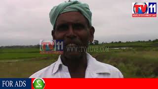 Watch FARMERS EXPRESS HAPPINESS TOWARDS RAINS AT KHANAPUR, ADB TV11 NEWS 20TH AUG 2017 Video