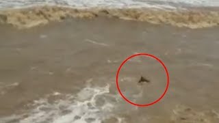 Watch Staff of 108 and local people saved 2 women from drowning in sea Video