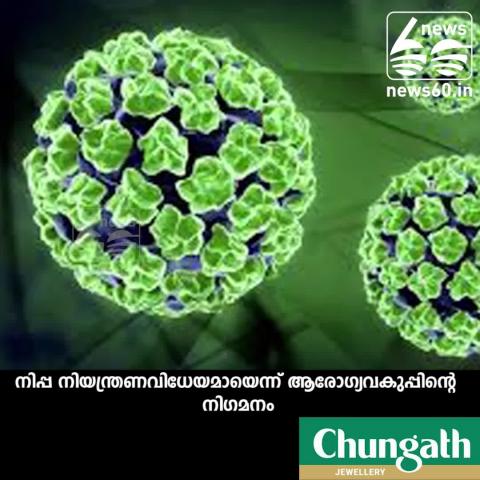 Watch nippah under control Video