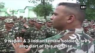 Watch Indo-Nepal joint military exercise â€˜Surya Kiranâ€™ begins in Pithoragarh Video