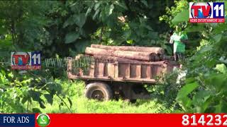 Watch POLICE SEIZE 55,000/- WORTH TIMBER, SMUGGLING AT HITECH COLONY, NIRMAL TV11 NEWS 30TH AUG 2017 Video
