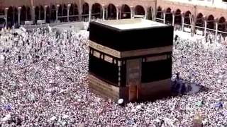 Watch EID-UL-ZOHA (BAKRID) MUBARAK TO ALL TV11 VIWERS TV11 NEWS URDU 2ND SEP 2017 Video