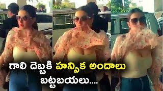 Watch à°—à°¾à°²à°¿ à°¦à±†à°¬à±à°¬à°•à°¿ à°¹à°¨à±à°¸à°¿à°• à°…à°‚à°¦à°¾à°²à± â€œà°¬à°Ÿà±à°Ÿà°¬à°¯à°²à±â€ | Hansika video at Mumbai airport | Daily Poster Video