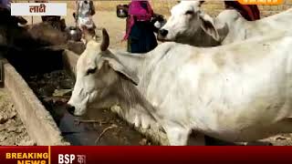 Watch à¤†à¤  à¤¦à¤¿à¤¨ à¤¸à¥‡ à¤ªà¥‡à¤¯à¤œà¤² à¤†à¤ªà¥‚à¤°à¥à¤¤à¤¿ à¤ à¤ª,à¤ªà¥‡à¤¯à¤œà¤² à¤¸à¤‚à¤•à¤Ÿ à¤¸à¥‡ à¤—à¥à¤°à¤¾à¤®à¥€à¤£ à¤ªà¤°à¥‡à¤¶à¤¾à¤¨ Video