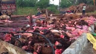 Watch à°¨à°²à±à°—à±Šà°‚à°¡ à°œà°¿à°²à±à°²à°¾ à°²à±‹ à°’à°‚à°Ÿà±† à°®à°¾à°‚à°¸à°ªà± à°°à°µà°¾à°£à°¾ à°®à±à° à°¾ à°…à°°à±†à°¸à±à°Ÿà± |dcm à°²à°²à±‹ à°¤à°°à°²à°¿à°‚à°ªà±|TV11NEWS|16-11-17 Video
